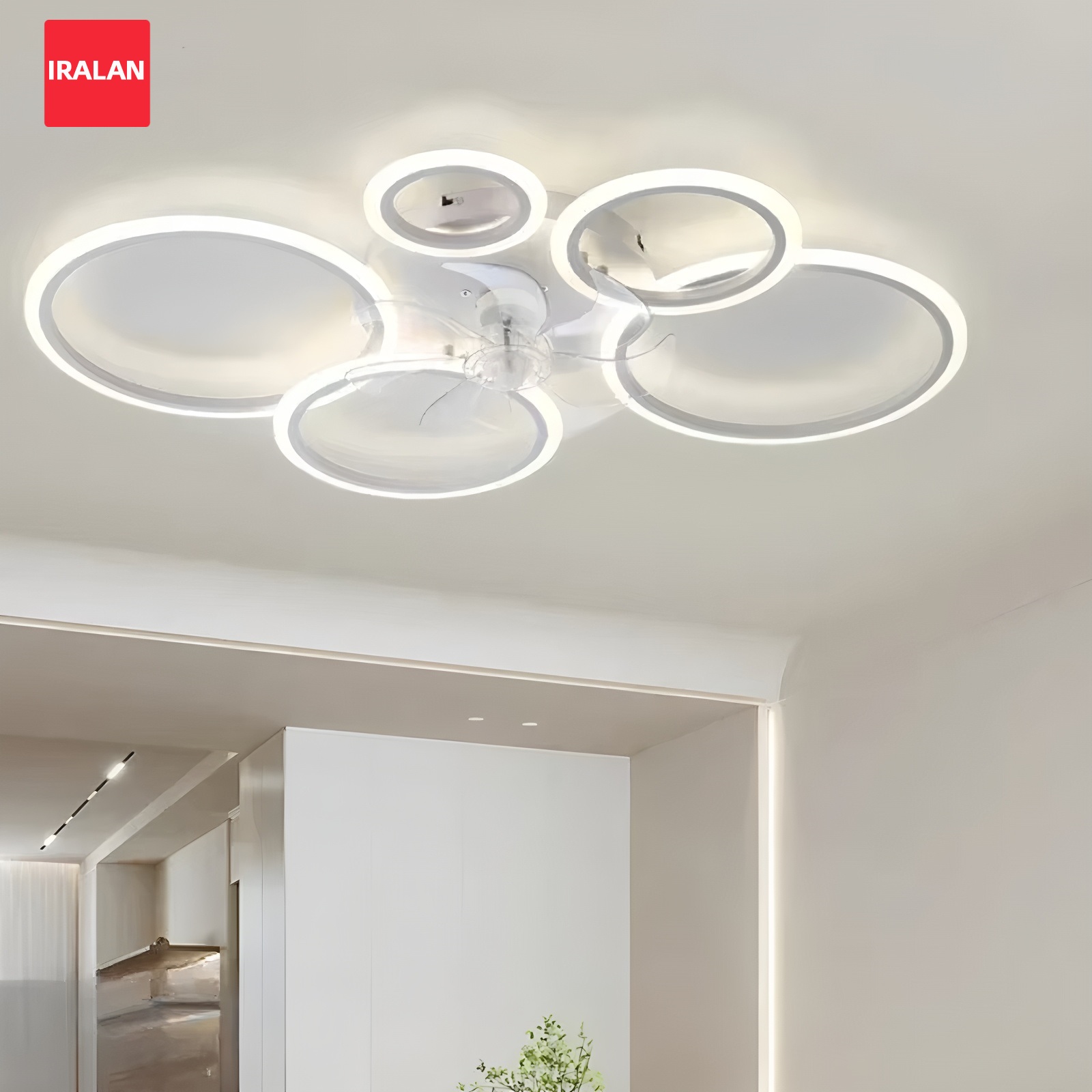 Decor Lighting Ceiling Fans - LED 조명이 있는 링형 천장 선풍기,